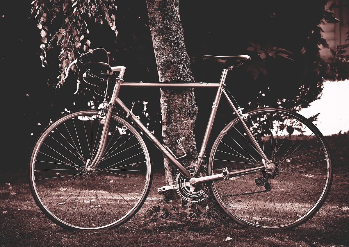 Škola vožnje bicikla